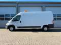 Fiat Ducato+L4H2+AHK 3.5t+erst 73 TKM+TÜV NEU+TOP!!! Weiß - thumbnail 6