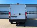 Fiat Ducato+L4H2+AHK 3.5t+erst 73 TKM+TÜV NEU+TOP!!! Weiß - thumbnail 10