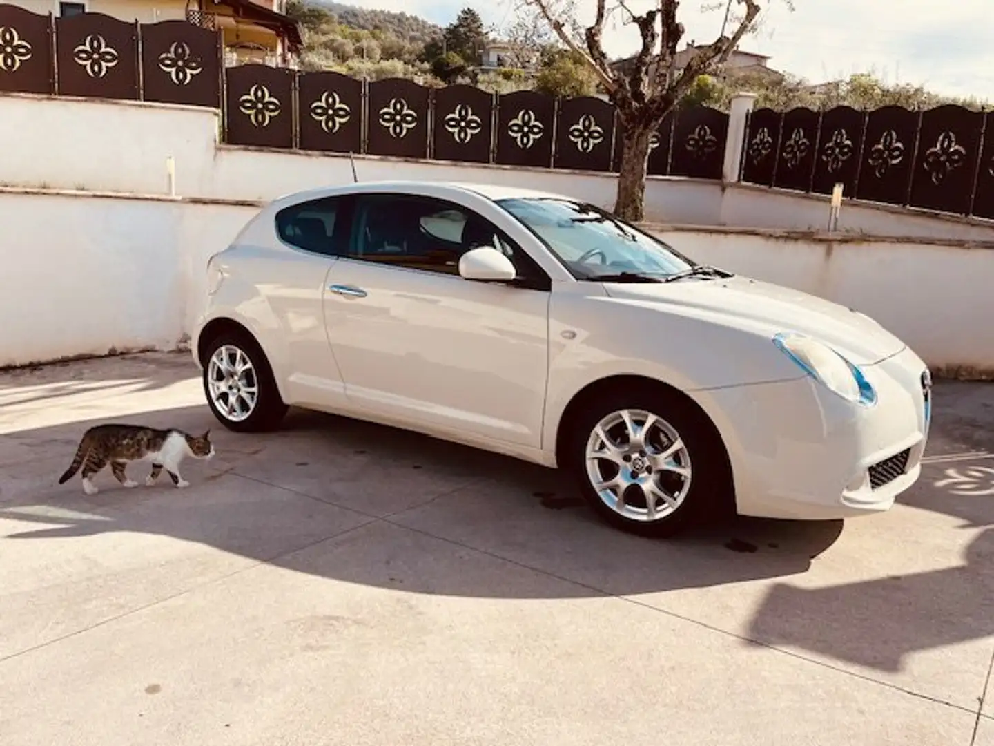Alfa Romeo MiTo 1.3 JTDM 85 CV DISTINTIVE UNIPRO' Blanco - 1