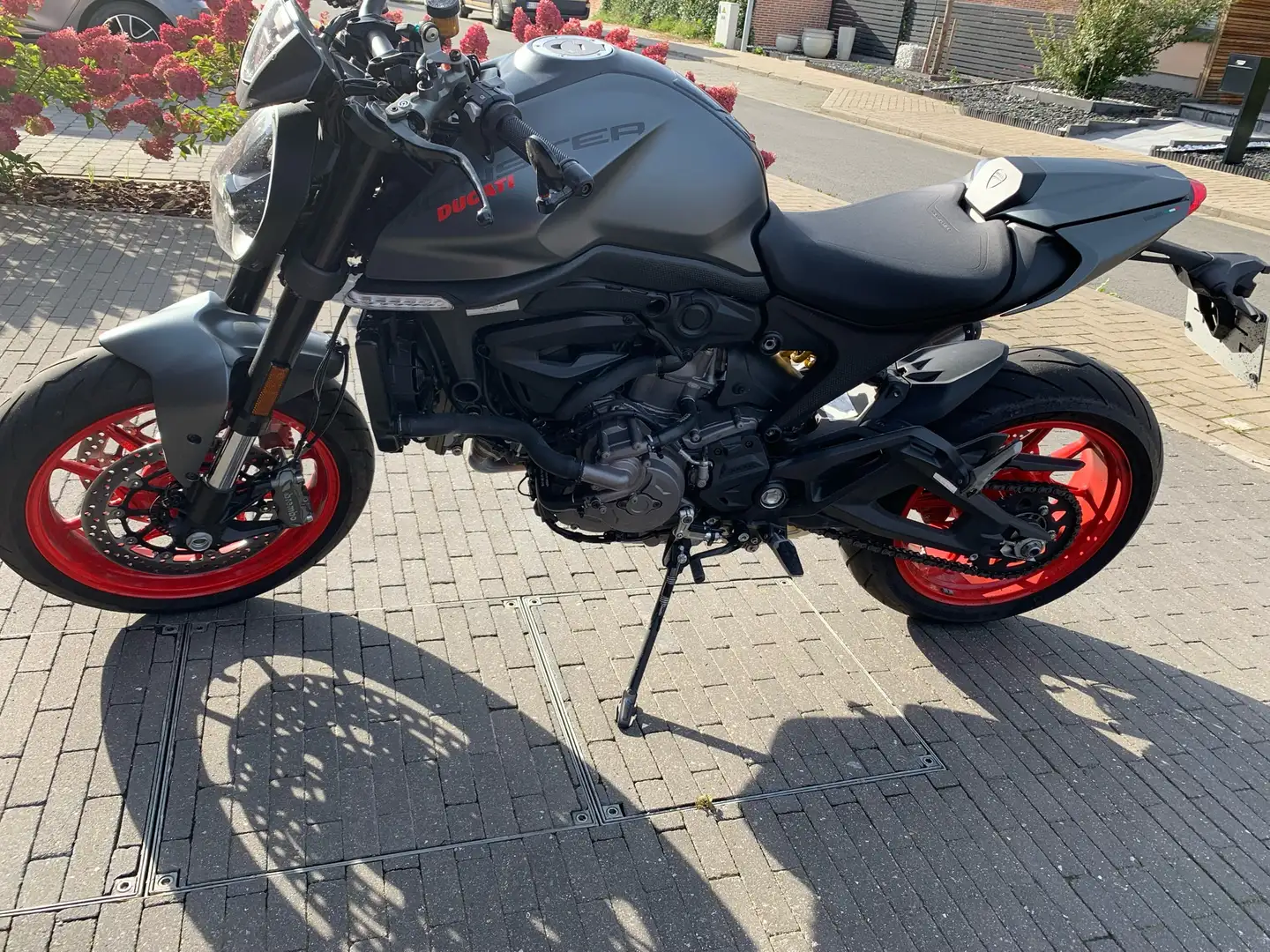 Ducati Monster 937 Gris - 1