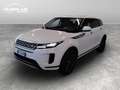 Land Rover Range Rover Evoque 2.0d i4 mhev S awd 150cv auto White - thumbnail 1