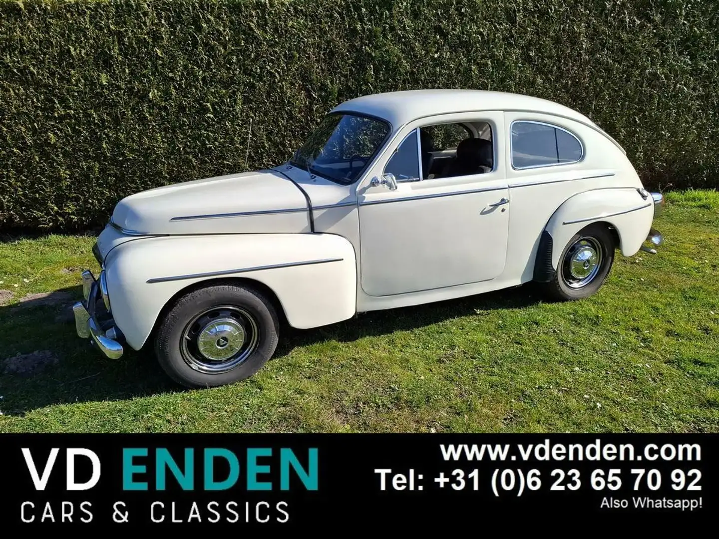 Volvo PV544 Sport B18 bijela - 1