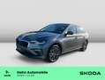 Skoda Scala Tour 1.0 TSI DSG Navi LED ACC PDCvo/hi SHZ Grau - thumbnail 1