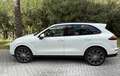 Porsche Cayenne Cayenne S E-Hybrid Blanco - thumbnail 4