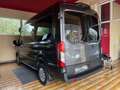 Ford Transit Autom. Rollstuhl-Hecklift Nav Kam Sthzg 3-Si+Rolli Grau - thumbnail 4