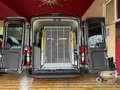 Ford Transit Autom. Rollstuhl-Hecklift Nav Kam Sthzg 3-Si+Rolli Grau - thumbnail 19