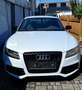 Audi RS5 RS5 Coupé 4,2 FSI quattro S-tronic Weiß - thumbnail 5