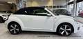 Volkswagen Beetle Cabrio 1.4 6-Gang "Allstar Plus" XENON NAVI KAMERA Weiß - thumbnail 6