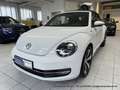 Volkswagen Beetle Cabrio 1.4 6-Gang "Allstar Plus" XENON NAVI KAMERA Weiß - thumbnail 11