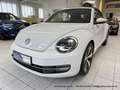 Volkswagen Beetle Cabrio 1.4 6-Gang "Allstar Plus" XENON NAVI KAMERA Weiß - thumbnail 2