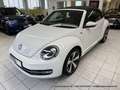 Volkswagen Beetle Cabrio 1.4 6-Gang "Allstar Plus" XENON NAVI KAMERA Weiß - thumbnail 4