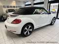Volkswagen Beetle Cabrio 1.4 6-Gang "Allstar Plus" XENON NAVI KAMERA Weiß - thumbnail 7