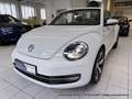 Volkswagen Beetle Cabrio 1.4 6-Gang "Allstar Plus" XENON NAVI KAMERA Weiß - thumbnail 33