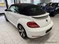 Volkswagen Beetle Cabrio 1.4 6-Gang "Allstar Plus" XENON NAVI KAMERA Weiß - thumbnail 10
