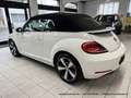 Volkswagen Beetle Cabrio 1.4 6-Gang "Allstar Plus" XENON NAVI KAMERA Weiß - thumbnail 9