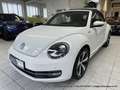Volkswagen Beetle Cabrio 1.4 6-Gang "Allstar Plus" XENON NAVI KAMERA Weiß - thumbnail 12