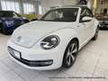 Volkswagen Beetle Cabrio 1.4 6-Gang "Allstar Plus" XENON NAVI KAMERA Weiß - thumbnail 3