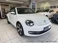 Volkswagen Beetle Cabrio 1.4 6-Gang "Allstar Plus" XENON NAVI KAMERA Weiß - thumbnail 5