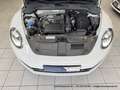 Volkswagen Beetle Cabrio 1.4 6-Gang "Allstar Plus" XENON NAVI KAMERA Weiß - thumbnail 30