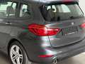 BMW 218 Advantage M-Alu+AHK + Kamera Gris - thumbnail 9