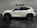 Lexus NX 450h+ Executive+ 4WD Weiß - thumbnail 5