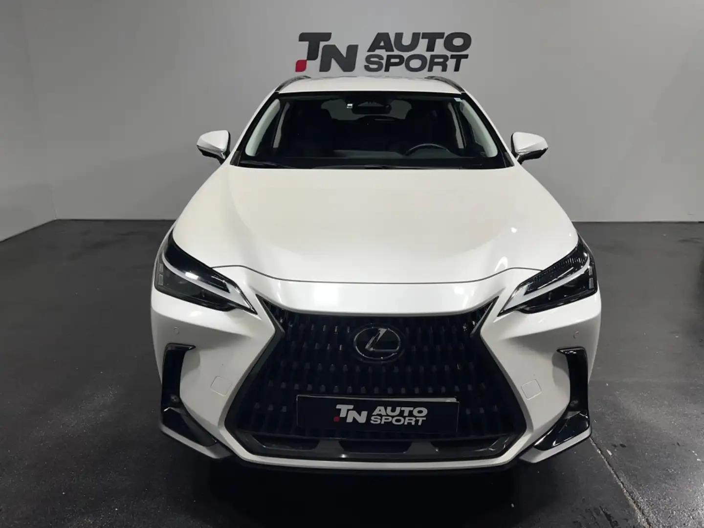 Lexus NX 450h+ Executive+ 4WD Weiß - 2