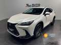 Lexus NX 450h+ Executive+ 4WD Weiß - thumbnail 1
