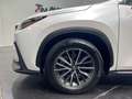 Lexus NX 450h+ Executive+ 4WD Weiß - thumbnail 6