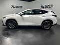Lexus NX 450h+ Executive+ 4WD Weiß - thumbnail 9