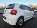 Volkswagen Polo V Diesel  5-Türer 1.2 TDI Blue Motion 89g Weiß - thumbnail 4