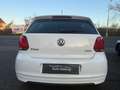 Volkswagen Polo V Diesel  5-Türer 1.2 TDI Blue Motion 89g Weiß - thumbnail 5