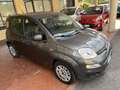 Fiat Panda Panda III 2016 1.2 Easy easypower Gpl 69cv my19 Grigio - thumbnail 4