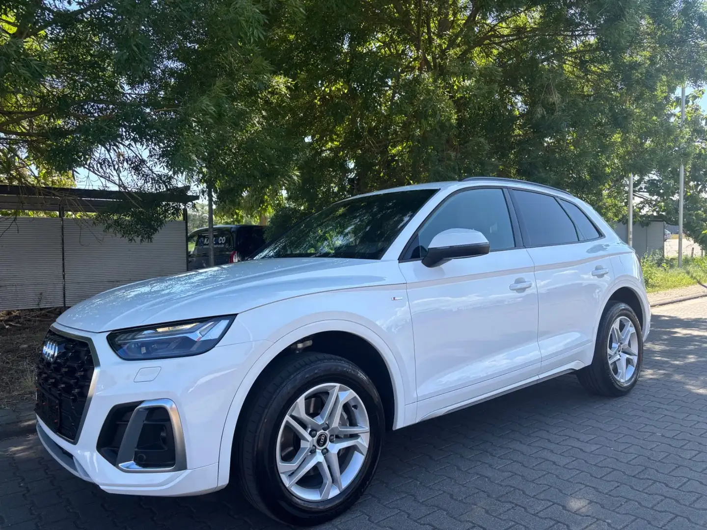 Audi Q5 40 2.0 TDI quatt S Line Matrix Navi VCockpit Weiß - 1