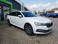 Skoda Superb Superb KB 2.0 TDI DSG Standhzg. / Columbus Blanc - thumbnail 3