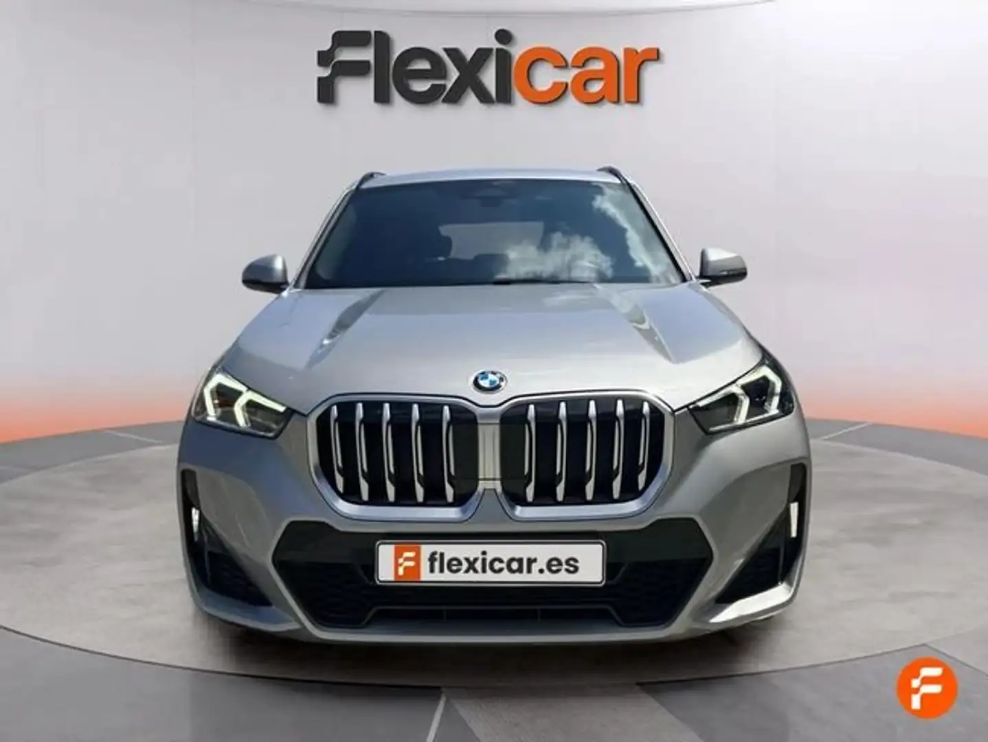 BMW X1 xDrive20d Gris - 2