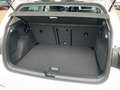 Volkswagen Golf VIII LIFE 1.5TSI 116PS 5J-G LED.STDHZG.ACC.2xPDC.S Alb - thumbnail 8