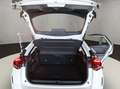 Citroen C4 PureTech 130 Shine S/S Wit - thumbnail 19