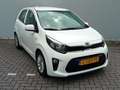 Kia Picanto 1.0 MPi 67pk DynamicLine Blanc - thumbnail 2