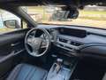 Lexus UX 250h E-FOUR F SPORT SCHIEBEDACH/360°/MARK LEV Rot - thumbnail 7
