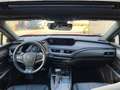 Lexus UX 250h E-FOUR F SPORT SCHIEBEDACH/360°/MARK LEV Piros - thumbnail 8