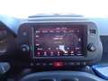 Fiat Panda Panda Cross 1.0 FireFly S&S Hybrid Gris - thumbnail 15