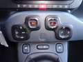 Fiat Panda Panda Cross 1.0 FireFly S&S Hybrid Gris - thumbnail 16
