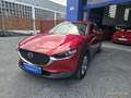 Mazda CX-30 CX30 eSKYACTIVG 2.0 90 kW 2WD Evolution Burdeos - thumbnail 5