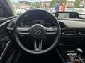 Mazda CX-30 CX30 eSKYACTIVG 2.0 90 kW 2WD Evolution Burdeos - thumbnail 15