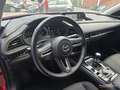 Mazda CX-30 CX30 eSKYACTIVG 2.0 90 kW 2WD Evolution Burdeos - thumbnail 20
