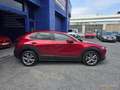 Mazda CX-30 CX30 eSKYACTIVG 2.0 90 kW 2WD Evolution Burdeos - thumbnail 12