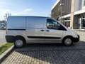Fiat Scudo 2.0 Multijet furgonato - thumbnail 5