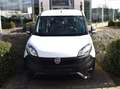 Fiat Doblo 1.4i Cargo Maxi Benzine Wit - thumbnail 9