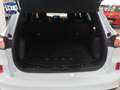 Ford Kuga 1.5 EcoBoost ST-Line FWD 150 Blanco - thumbnail 11