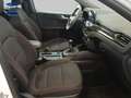Ford Kuga 1.5 EcoBoost ST-Line FWD 150 Blanco - thumbnail 8